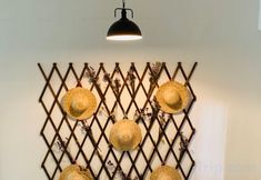 Others 4 Qingleyuan Youth Hostel