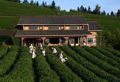 Others 3 Longxingchong TeaTel Hostel