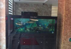 Others 5 Funing Dongfang Hotel