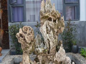 Lainnya 4 Wuyuan Donghu Hotel