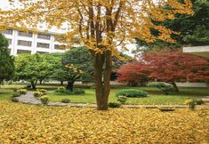 Others 7 Grand Link Hotel