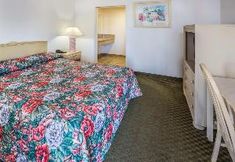 기타 4 Newport Inn & Suites