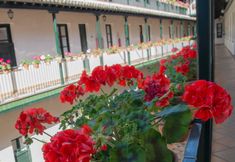 Others 5 Corral de los Chícharos