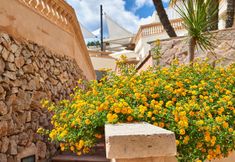 Others 6 Azul Playa Apartments