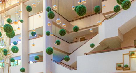 로비 2 Club Justiniano Park Conti