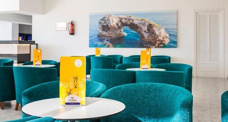 기타 2 Globales Mimosa