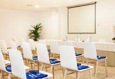 기타 6 Globales Mimosa