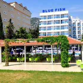 Blue Fish1 , 飯店科纳克利钟楼广场