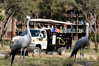 Others Disney's Animal Kingdom Lodge