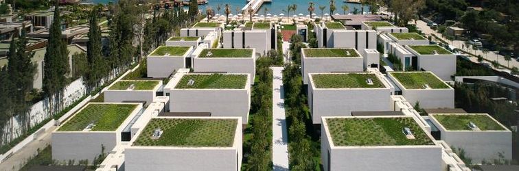 기타 CAJA BY MAXX ROYAL