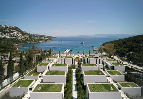 기타 CAJA BY MAXX ROYAL