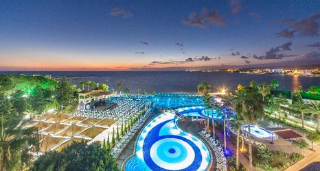 기타 2 Lonicera World