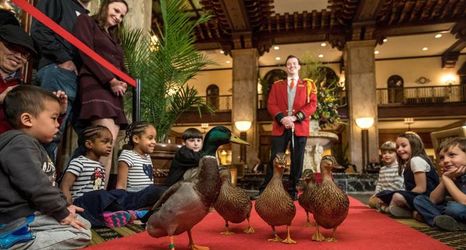 大堂 2 Peabody Memphis