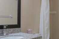 In-room Bathroom Mississauga Inn & Suites