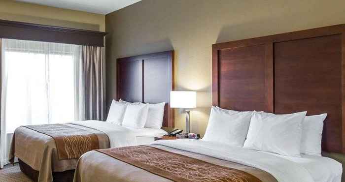 Bilik Tidur Comfort Inn Naples East I-75