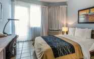 Bedroom 2 Comfort Inn (Levittown)