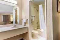 In-room Bathroom Econo Lodge Inn & Suites Southeast