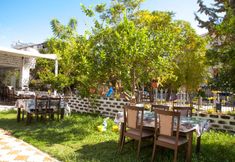 其他 4 Orfeus Armin Ex Nergos Garden