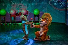 スイミングプール Kamelya Aishen K Club