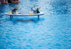 Swimming Pool 6 Kamelya Aishen K Club