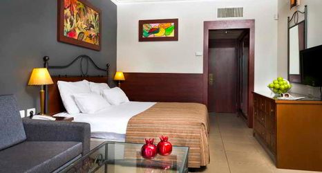 その他 2 Dan Neptune Eilat