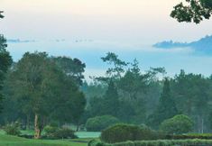 其他 6 Bali Handara Kosaido Country Club