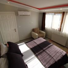 其他 4 Japonevleri