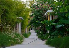 Khác 3 Vinila Villas