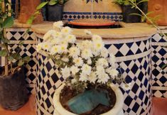 Lainnya 6 Fez Experience