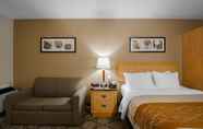 Phòng ngủ 7 Comfort Inn Prince Albert