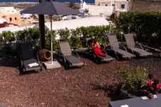 其他 Elysian Elia Heritage