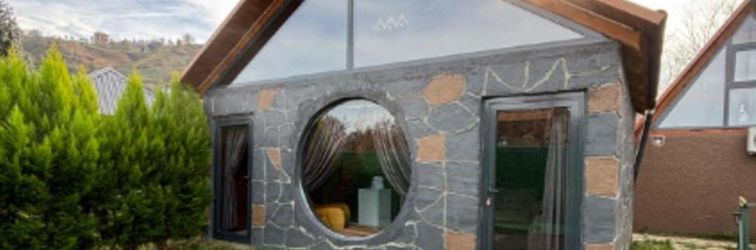 其他 Pazarparadise