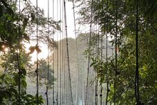 其他 Tirimbina Lodge