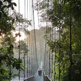 Tirimbina Lodge1 , 飯店埃雷迪亚省