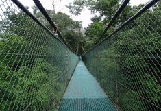 其他 3 Tirimbina Lodge