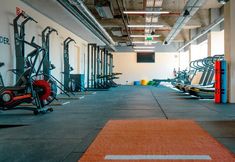 Others 7 Acta Moa 4*