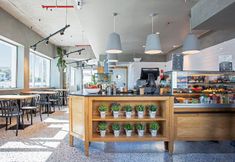 Others 6 Acta Moa 4*