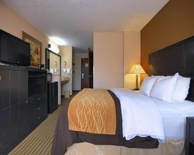 その他 4 Portland Downtow