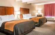 Bedroom 5 Country Inn & Suites by Radisson Battle Creek MI