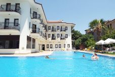 기타 Transferonly Calis