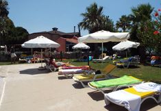 기타 2 Transferonly Calis