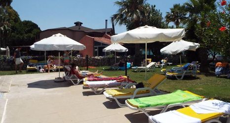 기타 2 Transferonly Calis