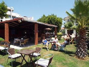 기타 4 Transferonly Calis