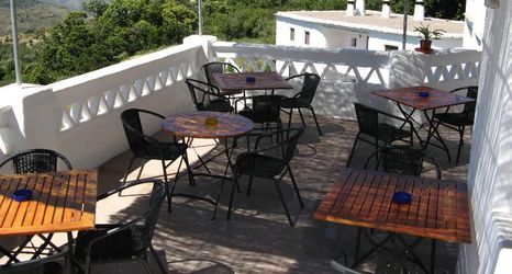 Lain-lain 2 La Oveja Verde