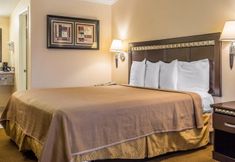 Bedroom 7 Rodeway Inn Near Legoland