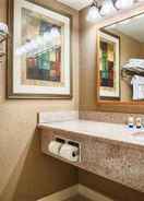 BATHROOM WINGATE BY WYNDHAM COON RAPIDS