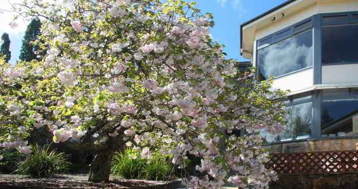 Lain-lain Nesuto Leura Gardens Hotel