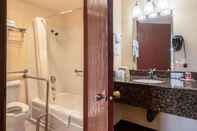 Toilet Kamar Econo Lodge Inn & Suites Hillsboro - Portland West