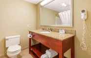 In-room Bathroom 5 Quality Inn & Suites Georgetown - Seaford