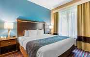 Kamar Tidur 7 Comfort Suites East St. Louis